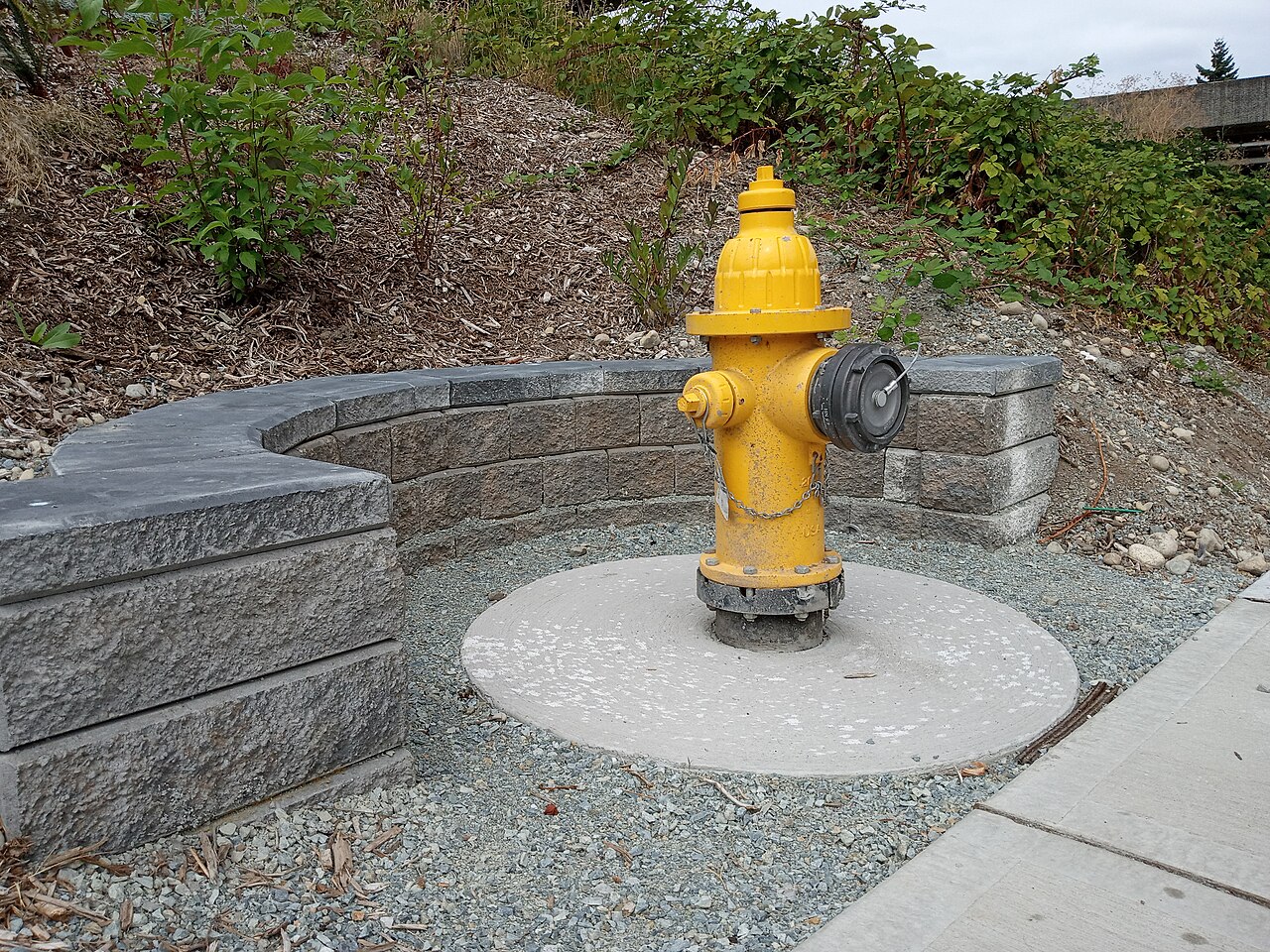 Illustrative photograph: A fire hydrant